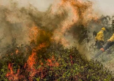 Pesquisa aponta queda na umidade do Pantanal e maior risco de inc&ecirc;ndios em 2025