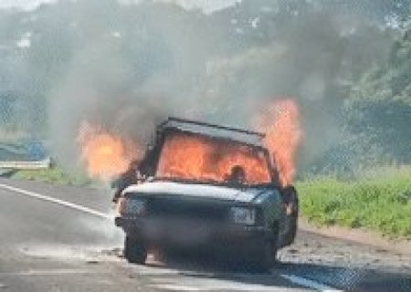 Colis&atilde;o e inc&ecirc;ndio matam dois sul-mato-grossenses em rodovia paulista