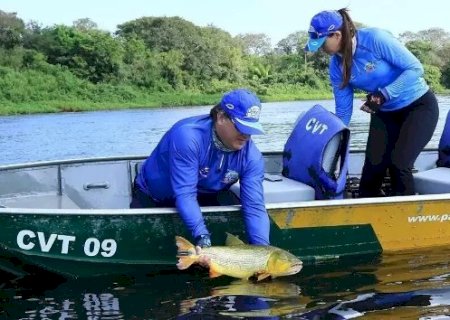 Mato Grosso do Sul deve proibir a pesca de 13 esp&eacute;cies, conforme Projeto de Lei?