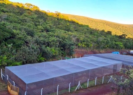 Mineradora promove recupera&ccedil;&atilde;o de &aacute;reas nativas nos morros de Corumb&aacute;