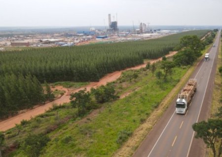 Ped&aacute;gio na Rota da Celulose poder&aacute; chegar a R$ 162 em pista sem duplica&ccedil;&atilde;o