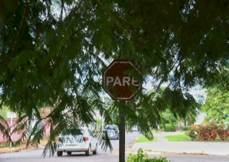 Placa escondida por &aacute;rvore causa acidentes na Vila Bandeirantes