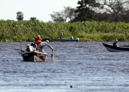 Proibi&ccedil;&atilde;o da pesca de 13 esp&eacute;cies divide opini&otilde;es