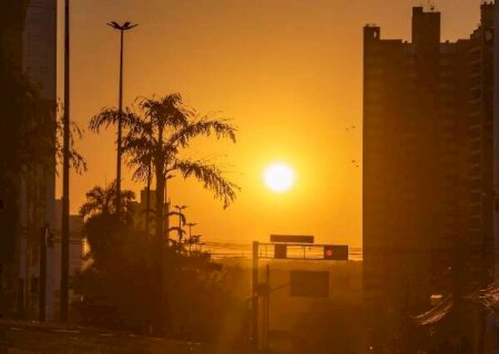Em discuss&atilde;o, pol&iacute;tica ambiental quer nortear a&ccedil;&otilde;es educativas na Capital