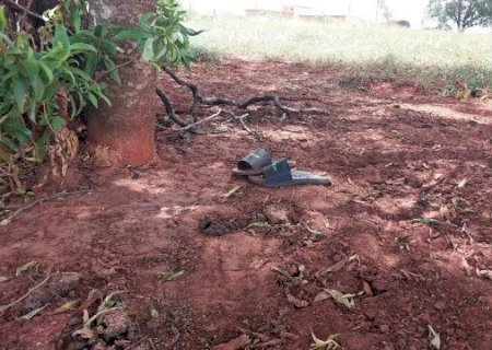 Em decomposi&ccedil;&atilde;o, corpo com tatuagens nas costas &eacute; achado em fazenda