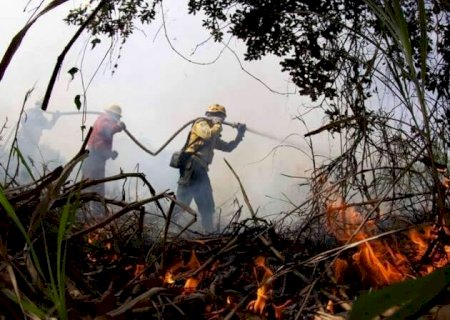 Uni&atilde;o pede repara&ccedil;&atilde;o de R$ 4,5 milh&otilde;es por desmatamento em &aacute;rea pantaneira