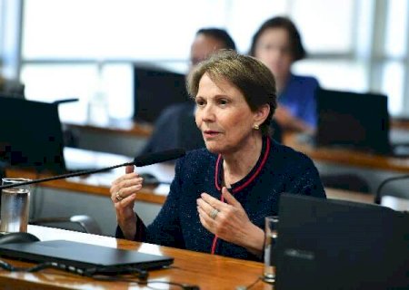 Tereza prop&otilde;e lei de reciprocidade para proteger exporta&ccedil;&otilde;es brasileiras