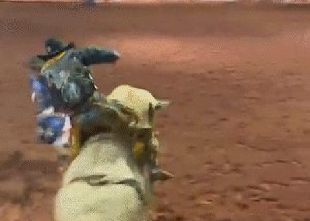 Touro dispara jato de fezes em p&uacute;blico durante rodeio em Deod&aacute;polis