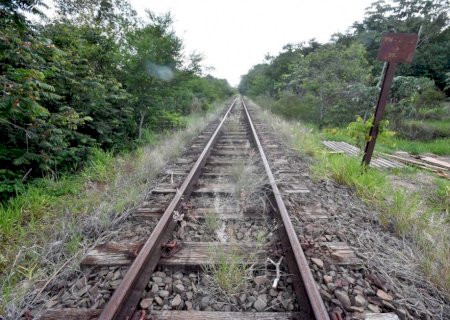Três empresas de mineração participam de reunião sobre licitação da Malha Oeste
