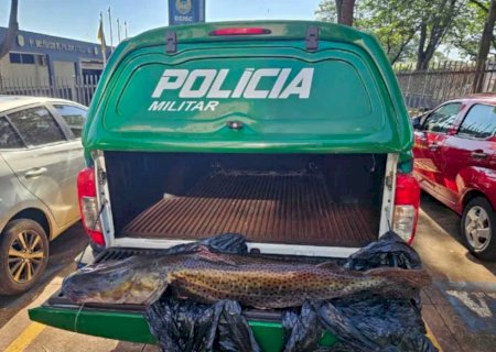 Pescador é multado em R$ 33 mil por Pintado de 21 kg em MS