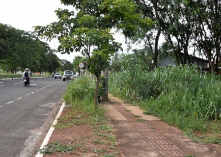 Homem que tentou estuprar policial diz ter saído para 'arrumar mulher' porque esposa está grávida