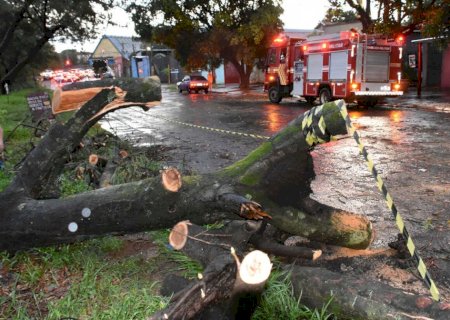 Bombeiros de MS estão entre os mais requisitados do País