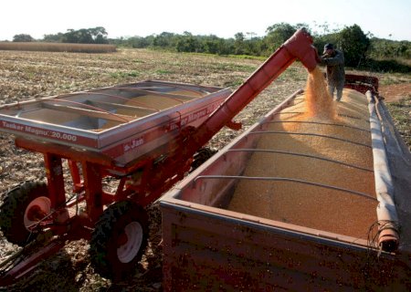 Falta de armazenagem faz com que MS deixe de arrecadar R$ 6,1 bilhões em grãos
