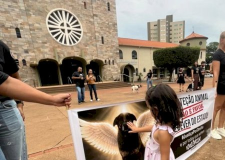 Manifestantes realizam ato em Dourados e cobram justiça após morte do cão Orelha