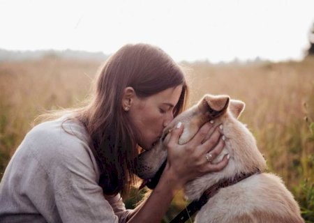 Quando o pet vira alvo: um sinal silencioso de violência contra a mulher