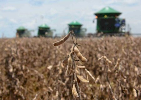 Previsão de trimestre quente e seco pode impactar produção agrícola no Estado