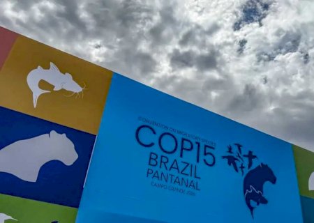 Cúpula de líderes orienta debates para COP15 em Campo Grande