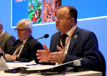 Tribunal de Justiça de MS cria vara especializada na proteção ambiental