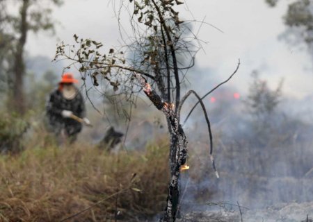 Chuvas irregulares e altas temperaturas acendem alerta de incêndios florestais em MS