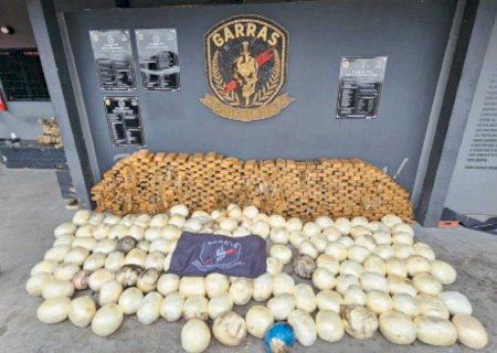 Entreposto de cocaína, Campo Grande tem a maior apreensão da droga no ano
