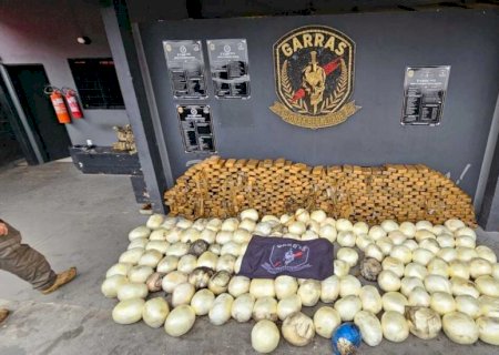 Garras faz apreensão histórica de cocaína em Campo Grande
