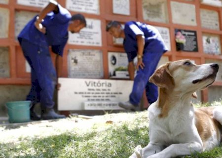 Projeto quer permitir sepultamento de animais em jazigos familiares de cemitérios