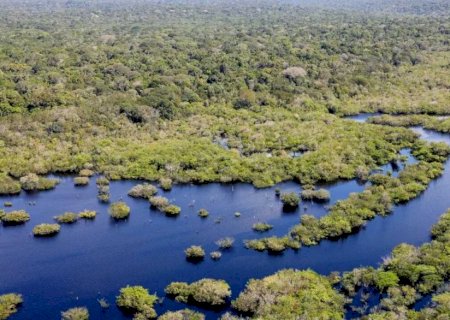 MS 'estica' prazo para produtores receberem por preservar área nativa no Pantanal