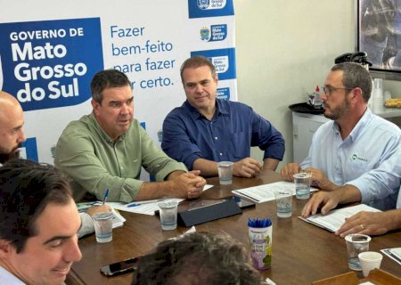 Governo e associação alinham atração de indústrias e reforçam suinocultura em MS