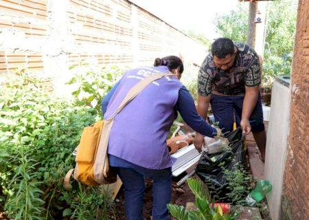 Após 8 mortes, prefeitura de Dourados espera vacinar 43 mil contra chikungunya