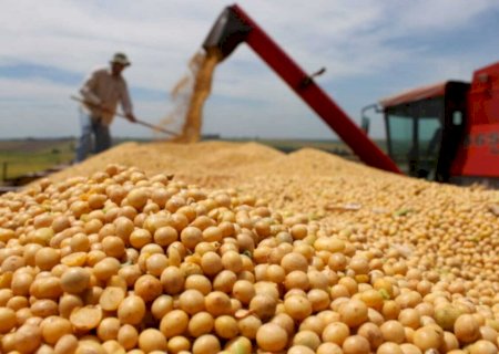 Com preço em queda, MS conclui a maior safra de soja da história