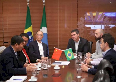 'Boom' da celulose atrai empresa chinesa para Três Lagoas