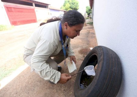 MS termina abril a três mortos do pior ano em óbitos por chikungunya