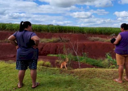 Ministério assina R$1 milhão contra agrotóxicos após morte de bebês em MS