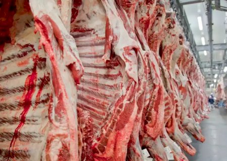 Nelore-MS e Angus reagem à decisão da UE contra carne brasileira